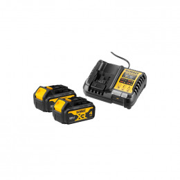 Pack 2 batteries & chargeur pour ventouse Dewalt XR 18V